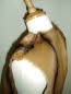 Hair Side Shoulder